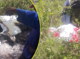 THE ZAKA PLANE CRASH MYSTERY: What the Authorities Aren’t Telling Us About the Fatal Flight