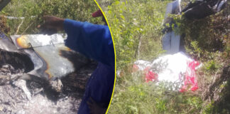 THE ZAKA PLANE CRASH MYSTERY: What the Authorities Aren’t Telling Us About the Fatal Flight