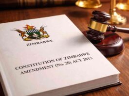 ED2030 PLOT BACKFIRES: Zanu-PF Accidentally Hands The Opposition a Lifeline in Power Grab Amendment 3