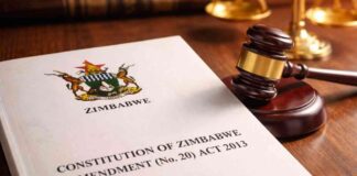 ED2030 PLOT BACKFIRES: Zanu-PF Accidentally Hands The Opposition a Lifeline in Power Grab Amendment 3