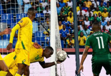Zim players in hot soup for match-fixing: FIFA investigates Marvelous Nakamba and teammates over ‘Sold Match’ allegations