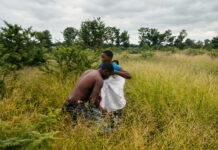 Too Much Unprotected Lula Lula and Beitbridge’s Dark Secret: Unmasking the Surge in Child Abuse and STIs