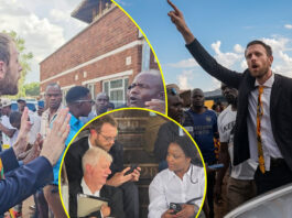 Woman STONED for saying NO to ED2030 plan, Lawyer Dough Coltart thoroughly beaten, phone stolen over Constitutional Amendment Bill