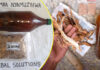 Shocking Vendor’s Lula Lula Secrets: Zimbabwean Men Vomiting to Death After Drinking ‘Guchu’ Love Potions