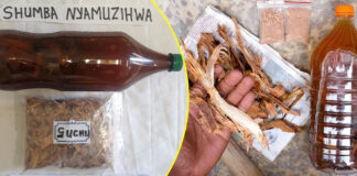 Shocking Vendor’s Lula Lula Secrets: Zimbabwean Men Vomiting to Death After Drinking ‘Guchu’ Love Potions