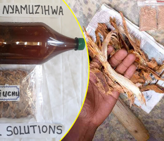 Shocking Vendor’s Lula Lula Secrets: Zimbabwean Men Vomiting to Death After Drinking ‘Guchu’ Love Potions