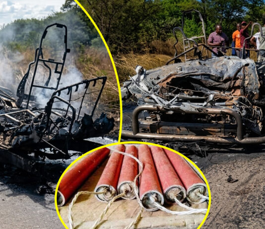 Driver was smuggling explosives: President Mnangagwa declares kombi accident that burnt all passengers to death state of disaster