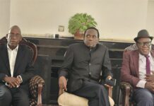 Madhuku and Biti Lawsuit Mystery: Why the High Court ‘Struck Off’ the Police Challenge and What Happens Next