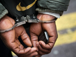 Nyasha arrested and remanded in custody after being caught with human body parts