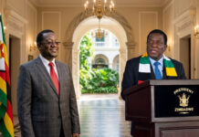 YOU ARE FIRED! Real reasons why President Mnangagwa sacked recently-appointed CIO boss Fulton Mangwanya