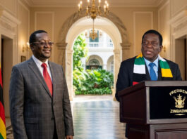 YOU ARE FIRED! Real reasons why President Mnangagwa sacked recently-appointed CIO boss Fulton Mangwanya