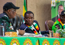 Betrayal in Politburo: Secret ZANU PF Faction of Senior Officials Ready to Block Mnangagwa’s 2030 Extension