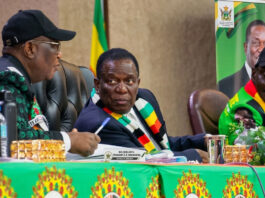 Betrayal in Politburo: Secret ZANU PF Faction of Senior Officials Ready to Block Mnangagwa’s 2030 Extension