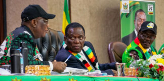 Betrayal in Politburo: Secret ZANU PF Faction of Senior Officials Ready to Block Mnangagwa’s 2030 Extension