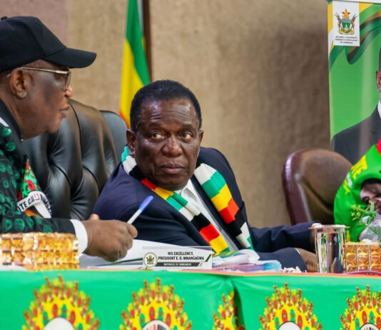 Is this Goodbye to ED2030? CAB3 hits a HUGE STUMBLING BLOCK as brave Political Scientist pulls a shocker on team Mnangagwa