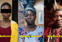 Guruve Gogo’s SHOCKING RITUAL: Spends 8 years forcing 13-year-old granddaughter to climb Muzhanje tree and urinate on same spot