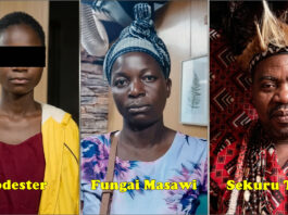 Guruve Gogo’s SHOCKING RITUAL: Spends 8 years forcing 13-year-old granddaughter to climb Muzhanje tree and urinate on same spot