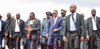 Beyond the Handshake: The Real Reason Behind the Push for Passport-Free Travel with Botswana