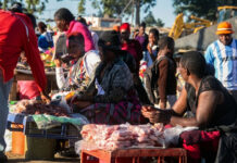 Police Launch Operation Nyama Yabvepi: The Dark Truth and SHOCKING DETAILS Behind the Nationwide Blitz on Illegal Meat Sales