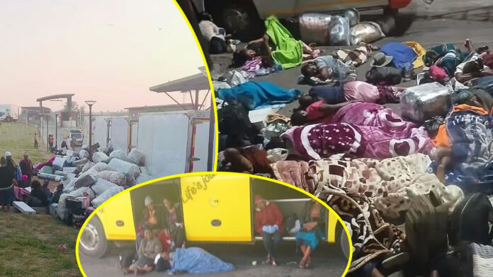 zimra confiscates goods, grounds buses at beitbridge border