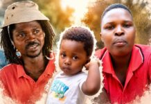 Names of Zimbabwean man, his wife and their son who were killed in South Africa double accident revealed