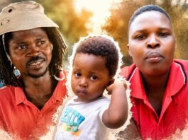Names of Zimbabwean man, his wife and their son who were killed in South Africa double accident revealed