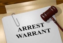 Fugitive Legacy: Why the Son of a National Hero is Now a Wanted Man in Harare!
