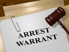Fugitive Legacy: Why the Son of a National Hero is Now a Wanted Man in Harare!