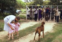 BIPPA Farm Returns Not a Land Reform Reversal, Says Government
