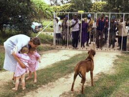 BIPPA Farm Returns Not a Land Reform Reversal, Says Government