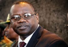 Vision 2030: Pakaipa… Former Minister Unpacks President Mnangagwa’s Grand Plan