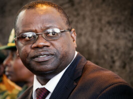 Vision 2030: Pakaipa… Former Minister Unpacks President Mnangagwa’s Grand Plan