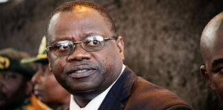 Vision 2030: Pakaipa… Former Minister Unpacks President Mnangagwa’s Grand Plan