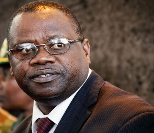 Vision 2030: Pakaipa… Former Minister Unpacks President Mnangagwa’s Grand Plan