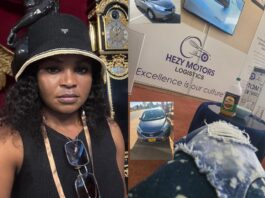 Zimbabwe Republic Police’s Most Wanted Woman: The $155,000 Hezy Motors Scam and the Hunt for Hazel Mafu