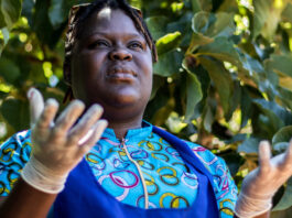Opposition leader and CAB3 defender Linda Masarira suddenly dies: “On Friday she was fine, didn’t seem like someone about to go”