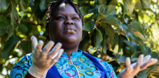 Opposition leader and CAB3 defender Linda Masarira suddenly dies: “On Friday she was fine, didn’t seem like someone about to go”