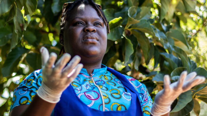 linda masarira latex gloves