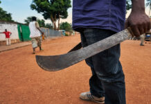 ‘Mushurugwi’ strikes ZRP cop’s hand with a machete as deadly criminals take turns to kill police officers