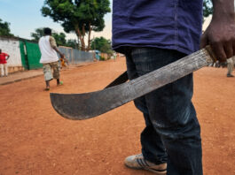 ‘Mushurugwi’ strikes ZRP cop’s hand with a machete as deadly criminals take turns to kill police officers
