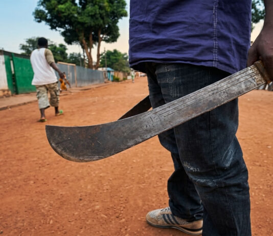 ‘Mushurugwi’ strikes ZRP cop’s hand with a machete as deadly criminals take turns to kill police officers
