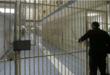The Scholarship Trap: The Dark Syndicate Luring Zimbabwean Students to Cyprus Prisons