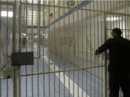 The Scholarship Trap: The Dark Syndicate Luring Zimbabwean Students to Cyprus Prisons