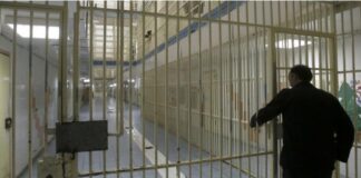 The Scholarship Trap: The Dark Syndicate Luring Zimbabwean Students to Cyprus Prisons