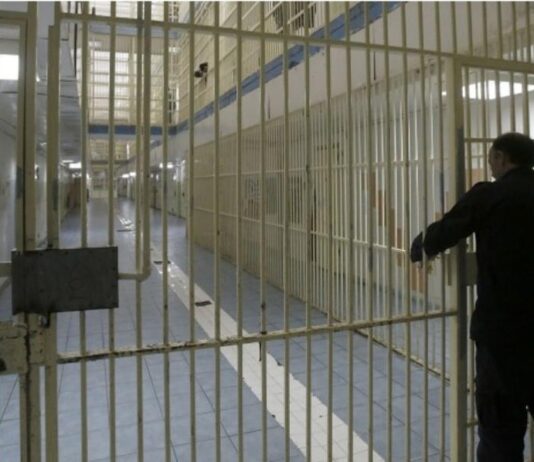 The Scholarship Trap: The Dark Syndicate Luring Zimbabwean Students to Cyprus Prisons