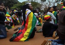 The Blacklist: Inside the LEAKED CIO MEMO with names of 50+ Zimbos ‘tarnishing’ Zimbabwe in Diaspora