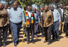 More Than Just Farming: The Secret Deal Ramaphosa Signed at Mnangagwa’s Farm… as Opposition Parties Breathe Fire in SA