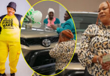 ‘Bribes and Betrayal’: Shock as Susan accepts US$50,000 cash and brand new car from Wicknell Chivayo