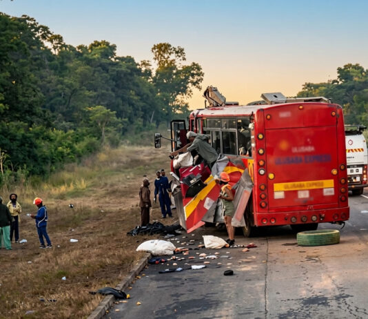 Another bloody accident: 8 people killed in Trip-Trans and haulage truck head-on crash (VIDEO)