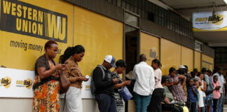 The Great Diaspora Takeover: How Zimbos Abroad are Quietly Buying Zimbabwe